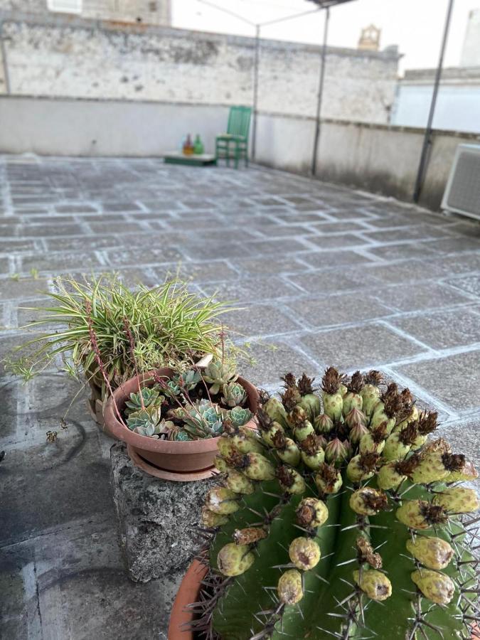 Li Beddhrizzi House Apartment กาลาตีนา ภายนอก รูปภาพ